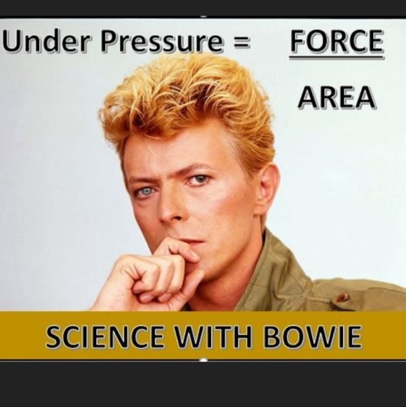 Bookmark my closet! - Picture 7 of 13